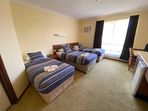 Donnybrook Motel Zewnętrze zdjęcie