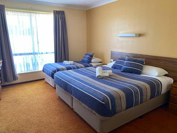 Donnybrook Motel Zewnętrze zdjęcie